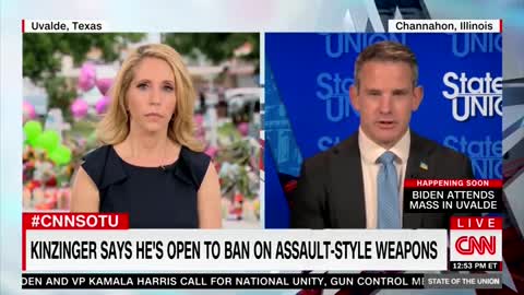 Rep. Kinzinger Say He Is 'Open' To An AR-15 Ban