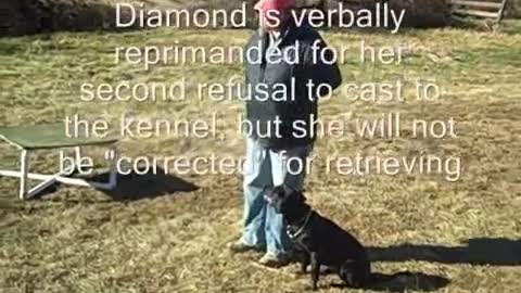 Best dog training