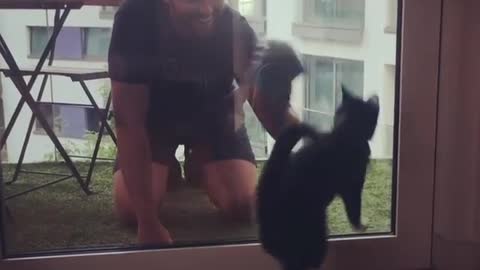 Funny cat "helps" owner clean the window