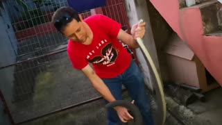 Snake Slithers into Dog Kennel