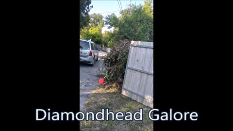 Diamondhead Galore - (786) 903-4223