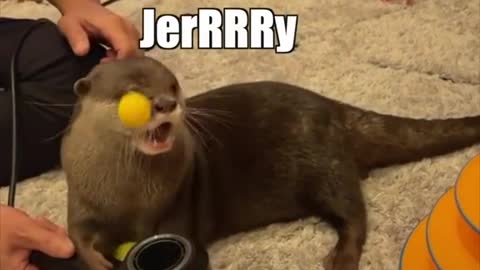 Jerry!!