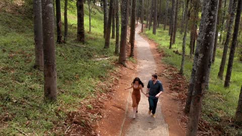 couple-love-forest-trees