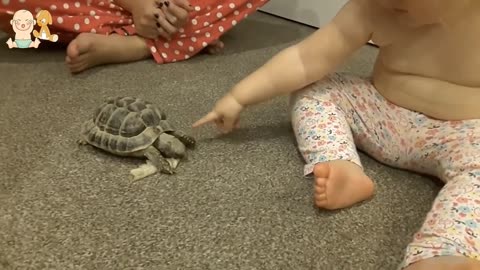 Cute Babies and Tortoise become friends - Funny Babies and Pets Compilationation