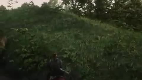 I fell in RDR2