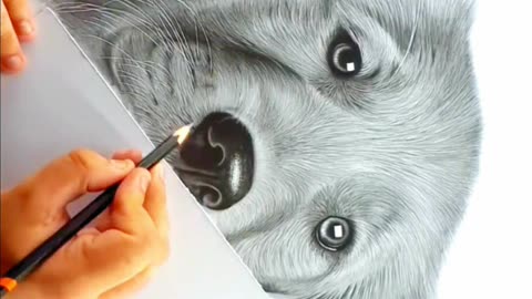 Dog Hyper Realistic Drawing