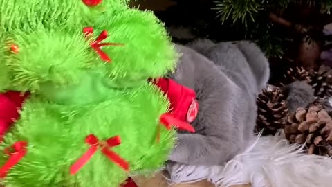 Cat vs christmas tree