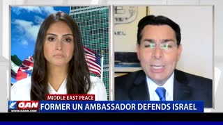 Former UN ambassador defends Israel