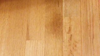 Final results cat urine removal wood flooring
