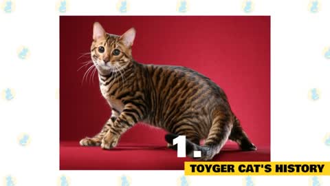 Toyger Funny Facts - Cat and Kitten