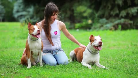 Woman strokes her dogs on the grass