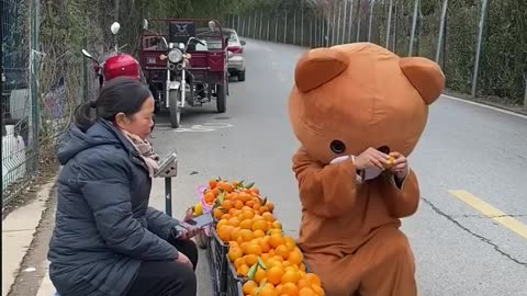 Chinese Funny Pipi Bear Videos 2022