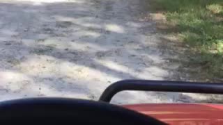 Driving down a Florida canal