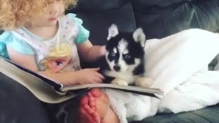 Toddler teaches her puppy how to read