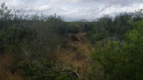 Windy day at the ranch