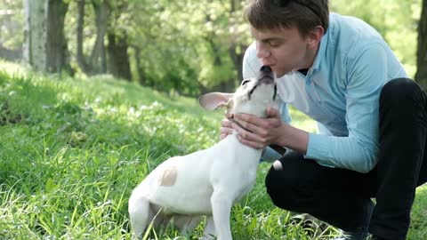 Sweetie Dogs showing love to their owner by respectful and cute actions