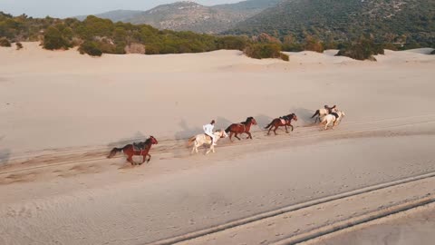 Horses and women.