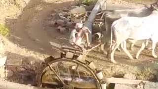 Farmers use watter for farming in 1980