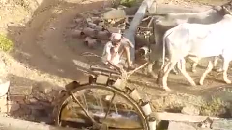 Farmers use watter for farming in 1980