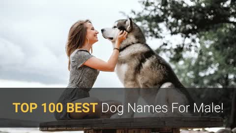 🐕TOP 100 BEST Dog Names For Male🦮 - Dog Name Ideas 2022