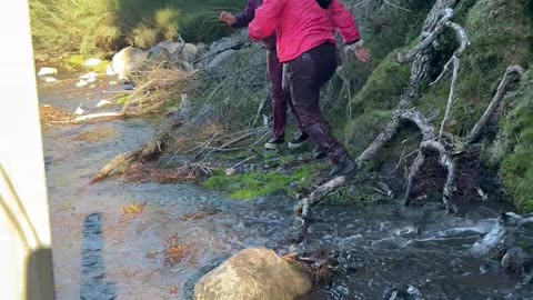 Two Women Fall into Creek and Laugh It Off