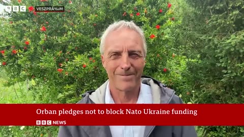 Hungary will not participate in Nato Ukraine funding | BBC News