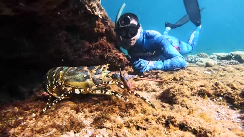 Catching Giant Lobsters For Food On Remote Island