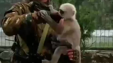 Russia vs ukrain soldeir love with monkey