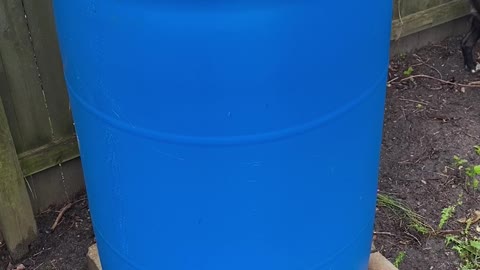 DIY rain barrel