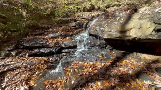 Alum Hollow Trail - Green Mountain Nature Preserve