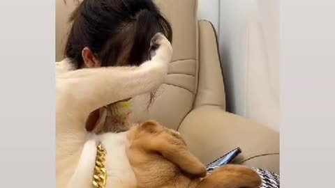Cute Dog loving her Caring Girl