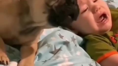 Baby and dog crying together