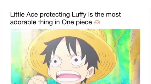 Anime -onepice edit ace protecting lucfy