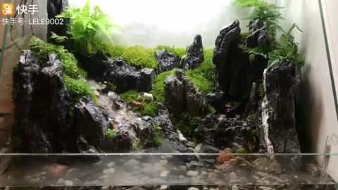 Landscape works in fish tanks（8）