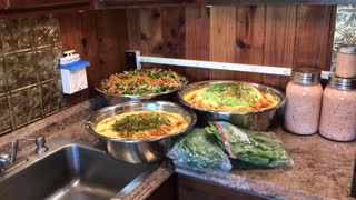 Raw Vegan Sprouted Cultured Food For 80 People - May 2nd 2018