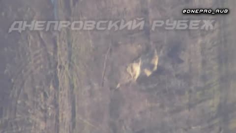 Russian Lancet drone hits Ukrainian D-20 howitzer and artilleryman. Tyaginki, Kherson direction
