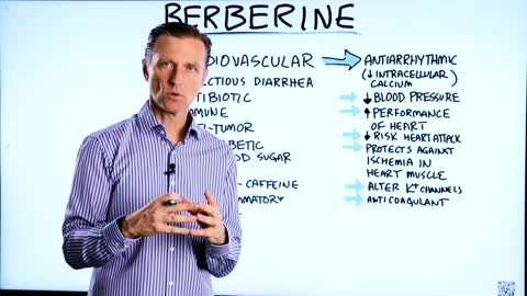 🔥🔥The Amazing Benefits of Berberine💪🔥🔥