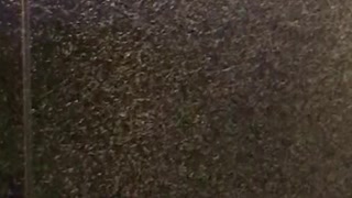 Huge Swarms of Mayflies Surround Lights