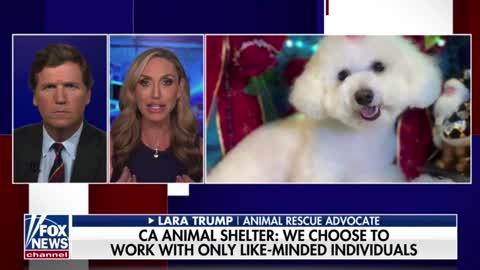 Lara Trump reacts to a California animal shelter that is banning people from adopting dogs