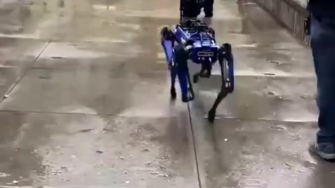 Le Chien Robot "DIGIDOG" patrouille pour la Police de New York City