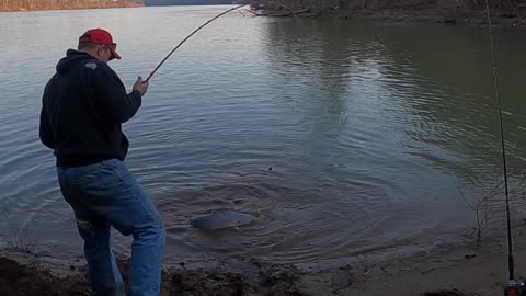 Late Winter Blue Catfish