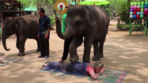 People at the show of elephants in Thailand