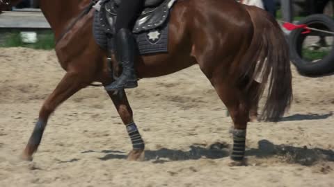 Policeman riding on brown horse. Police officer riding horse on sand