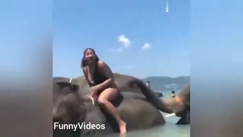 Hot girl Vs animals funny video