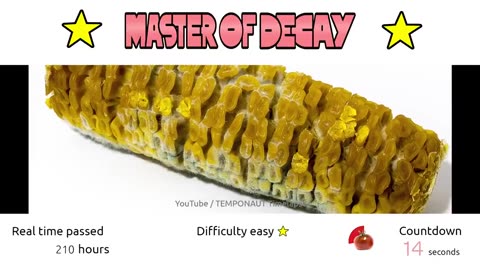 Master of Decay Time-Lapse Video Quiz 05