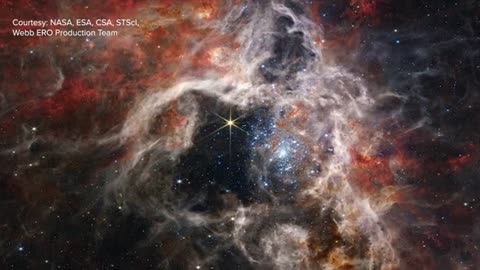 Webb Telescope captures thousands of never-before-seen young stars in the Tarantula Nebula