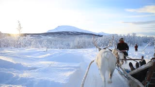 Reindeer Drawn Sleigh