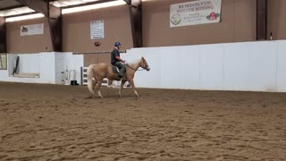 Learning to canter