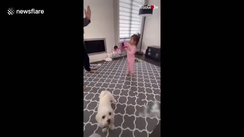 Adorable moment toddler and dog dance together in Canadian home