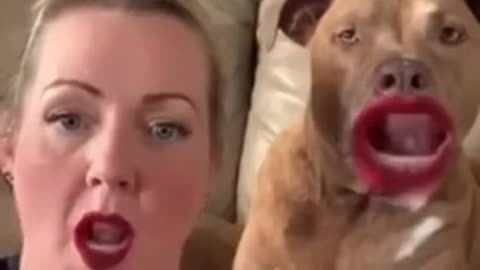 Cute Dog Funny Video